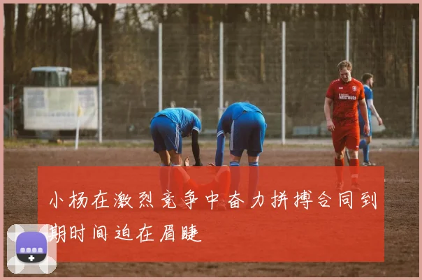 小杨在激烈竞争中奋力拼搏合同到期时间迫在眉睫