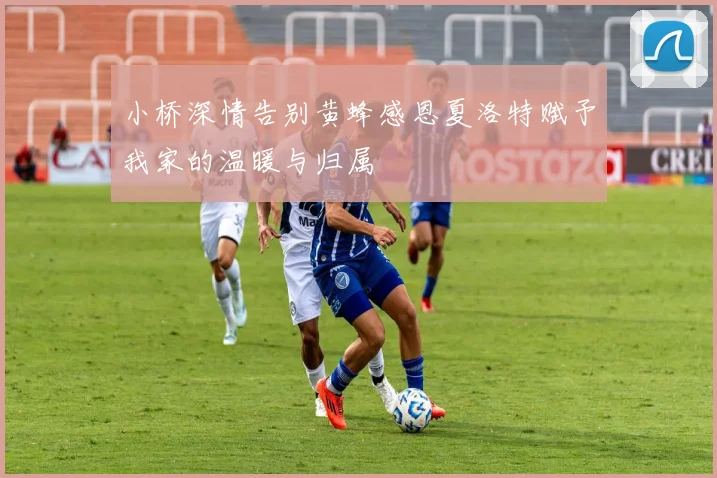 小桥深情告别黄蜂感恩夏洛特赋予我家的温暖与归属